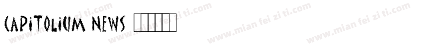 Capitolium News字体转换